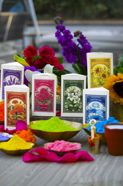 JNR Holi Gulaal Kit